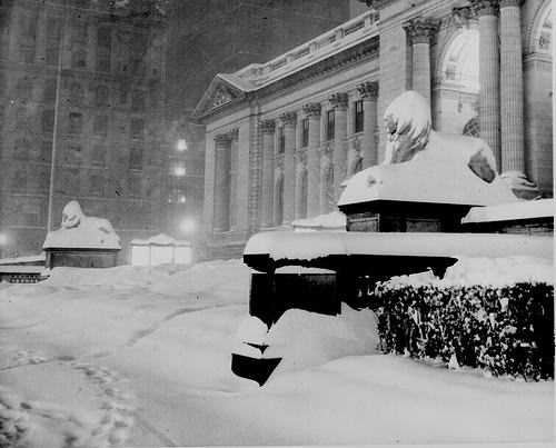 nypl